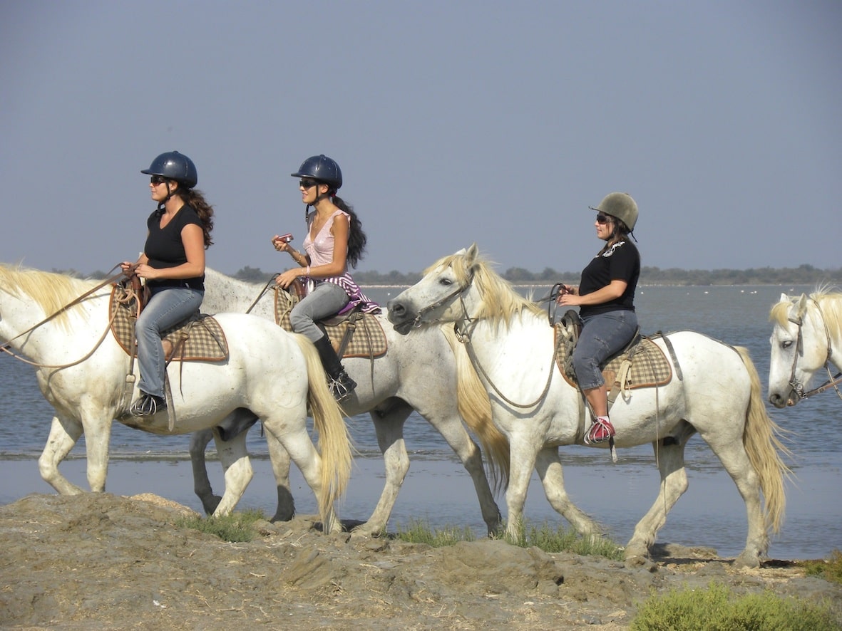 Activités pendant un séminaire, comme équitation ou dégustation du vin